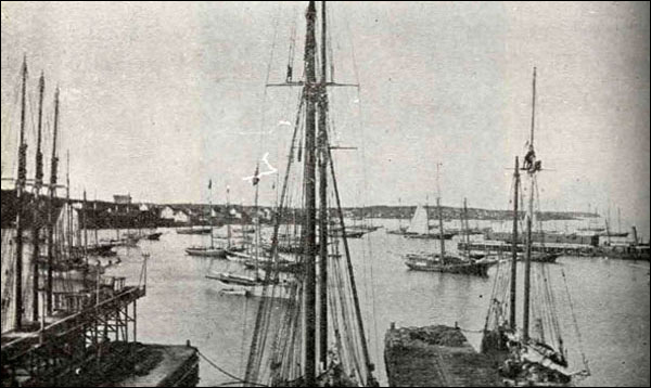 Port Union, s.d.