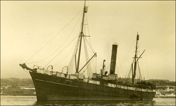 The 'SS Newfoundland', n.d.