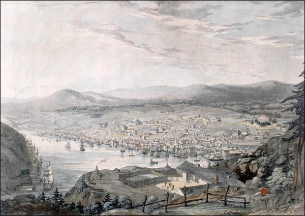 The Town and Harbour of St. John's, 1 June 1831