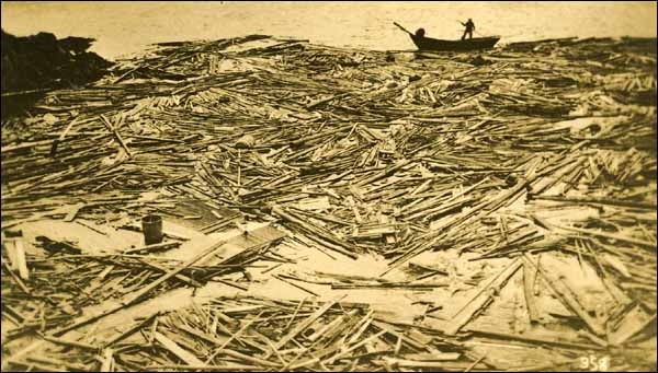Coastal Debris after Tsunami, ca. November 1929