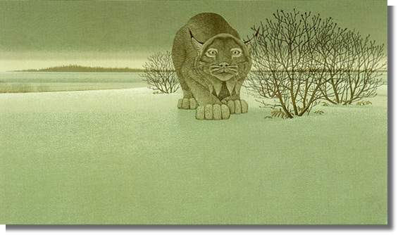 The Lynx