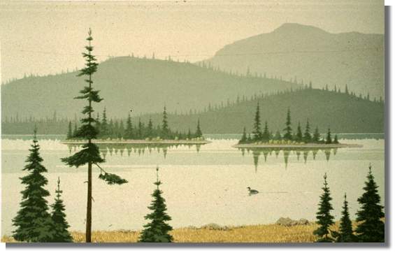 The Loon