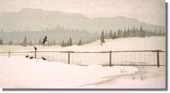 Snow and Black Crows Snow and Black Crows