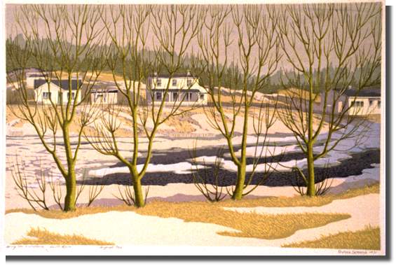 Spring Ice and Willows Spring Ice and Willows