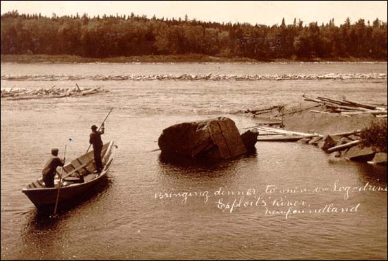 Bringing Lunch to Loggers, ca. 1907-1928