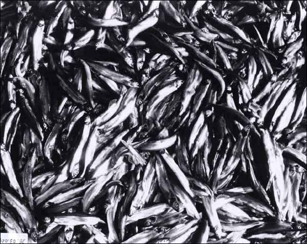 Caplin, n.d. Caplin, n.d.