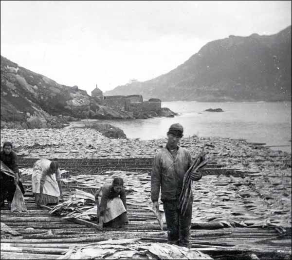 Drying Cod on Flakes, pre-1898