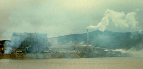 ERCO Phosphorus Plant, Long Harbour, ca. 1974 ERCO Phosphorus Plant, Long Harbour, ca. 1974