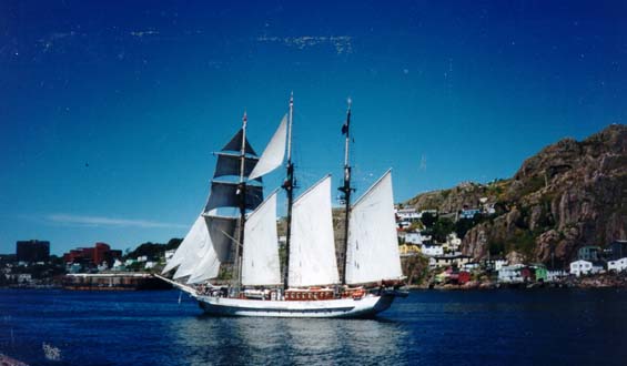 Gazela Primeiro, St. John's, n.d. Gazela Primeiro, St. John's, n.d.