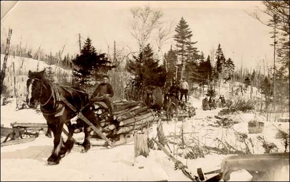 Hauling Wood, ca. 1907-1928 Hauling Wood, ca. 1907-1928