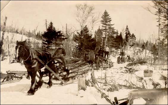 Hauling Wood, ca. 1907-1928