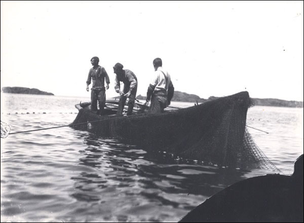 Hauling a Cod Trap, pre-1901 Hauling a Cod Trap, pre-1901