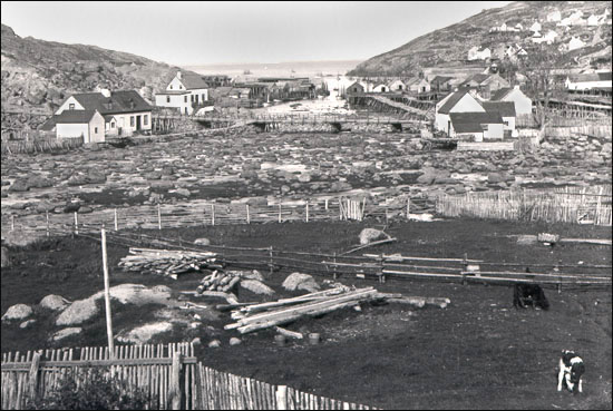 Petty Harbour, ca. 1895 Petty Harbour, ca. 1895