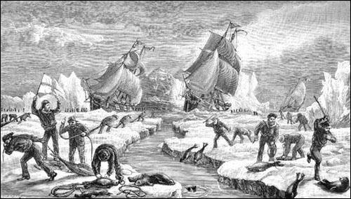 The Seal Hunt, ca. 1883 The Seal Hunt, ca. 1883