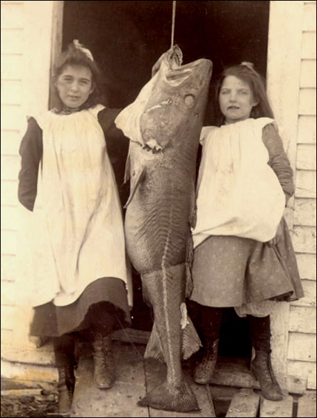 Unidentified Girls with Codfish, ca. 1905 Unidentified Girls with Codfish, ca. 1905