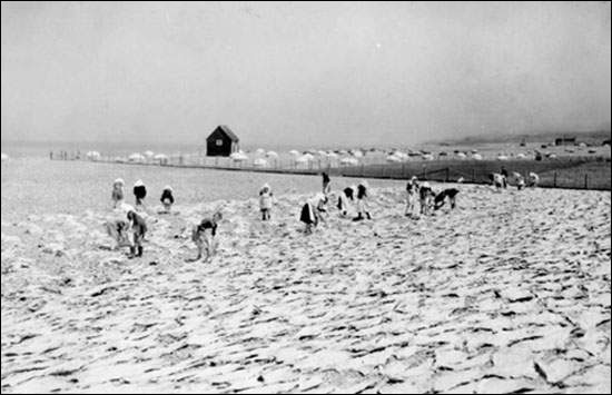 Women on a Beach Tending to Fish, ca. 1940 Women on a Beach Tending to Fish, ca. 1940