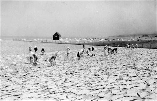 Women on a Beach Tending to Fish, ca. 1940