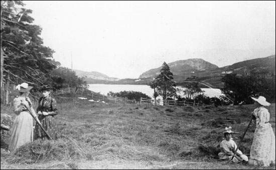 Unidentified Women Hay Making, n.d.