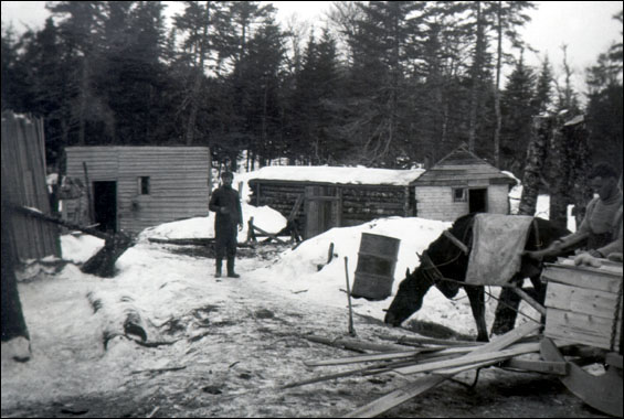 Camp de bûcherons, Jacks Pond, baie Trinity, s.d. Camp de bûcherons, Jacks Pond, baie Trinity, s.d.