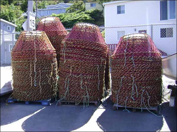 Casiers de crabe au port de St. John's, 2007