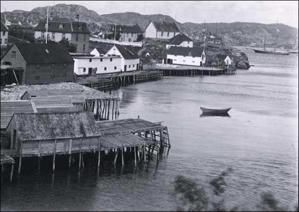 Collins Cove, Burin, vers 1900 Collins Cove, Burin, vers 1900