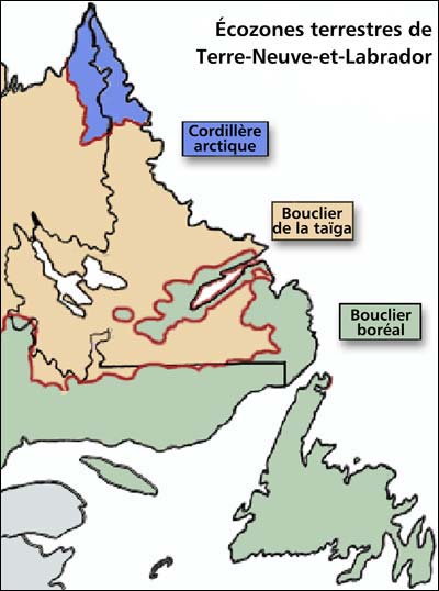 Écozones terrestres de Terre-Neuve et Labrador Écozones terrestres de Terre-Neuve et Labrador