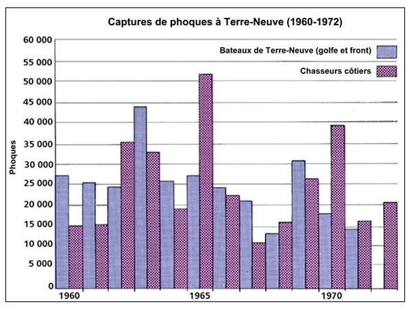 Captures de phoques à Terre-Neuve (1960-1972) Captures de phoques à Terre-Neuve (1960-1972)