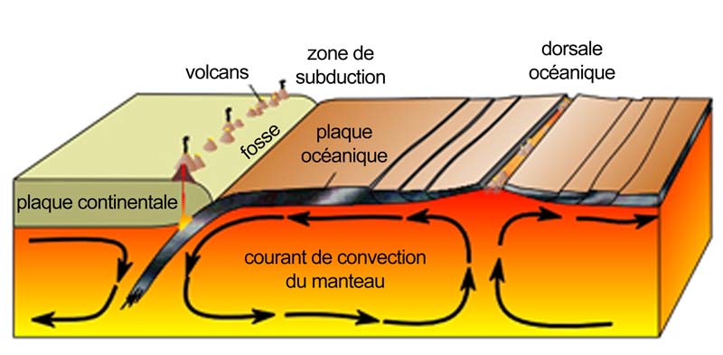 Le manteau terrestre en mouvement Le manteau terrestre en mouvement