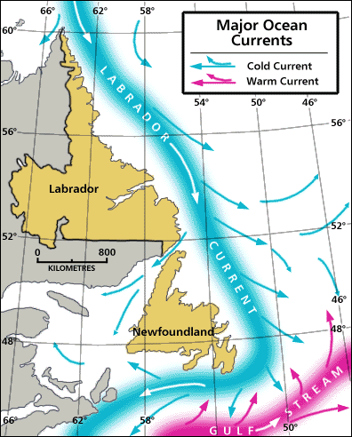 Principaux courants marins