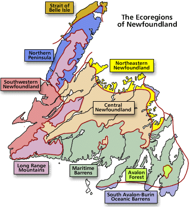 Les écorégions de Terre-Neuve