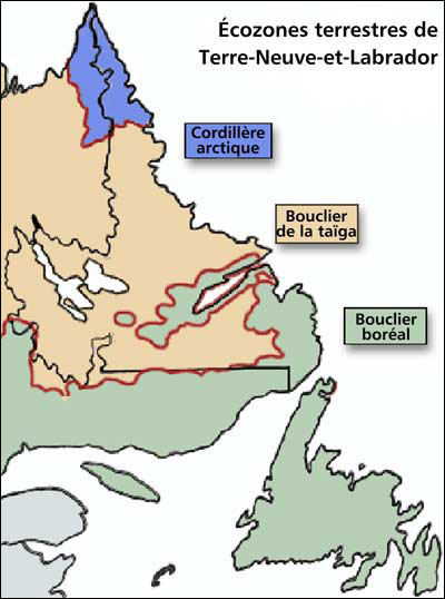 Écozones terrestres de Terre-Neuve-et-Labrador Écozones terrestres de Terre-Neuve-et-Labrador