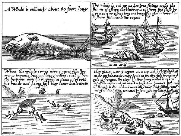Méthodes de chasse à la baleine au 17e siècle, à Spitsbergen Méthodes de chasse à la baleine au 17e siècle, à Spitsbergen