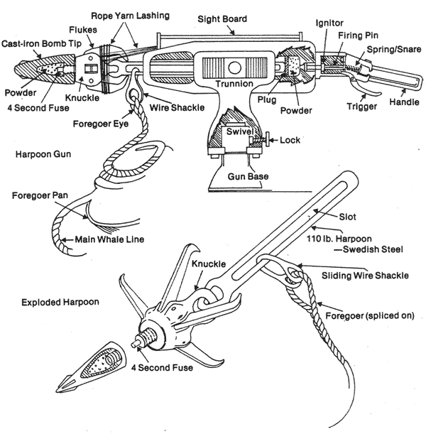 Schéma d'un canon lance-harpon et vue éclatée d'un harpon