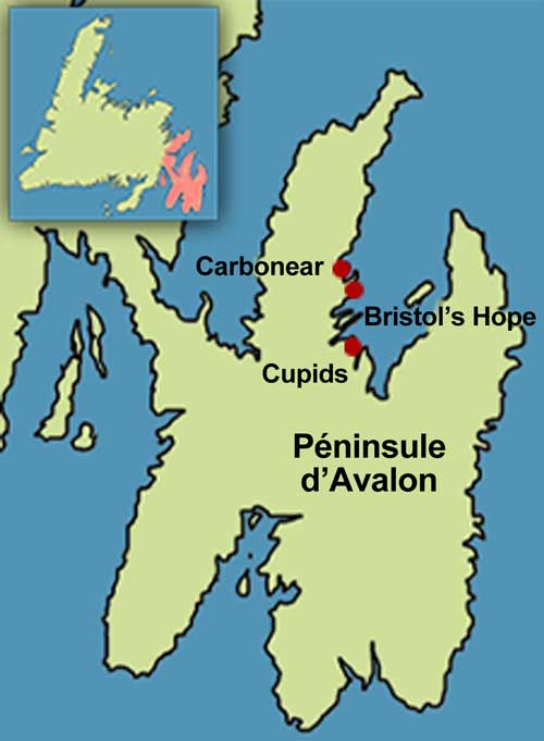 Péninsule d'Avalon péninsule d'Avalon