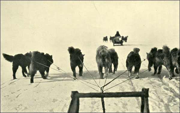 Photographie prise à partir d'un traîneau, vers 1908-1909