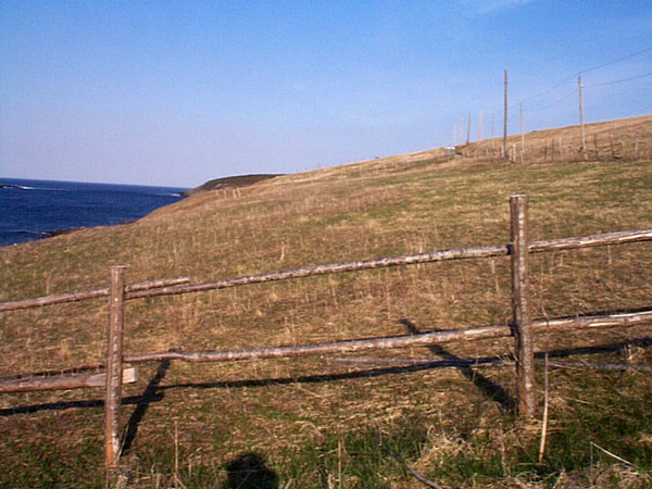 Les Downs de Ferryland