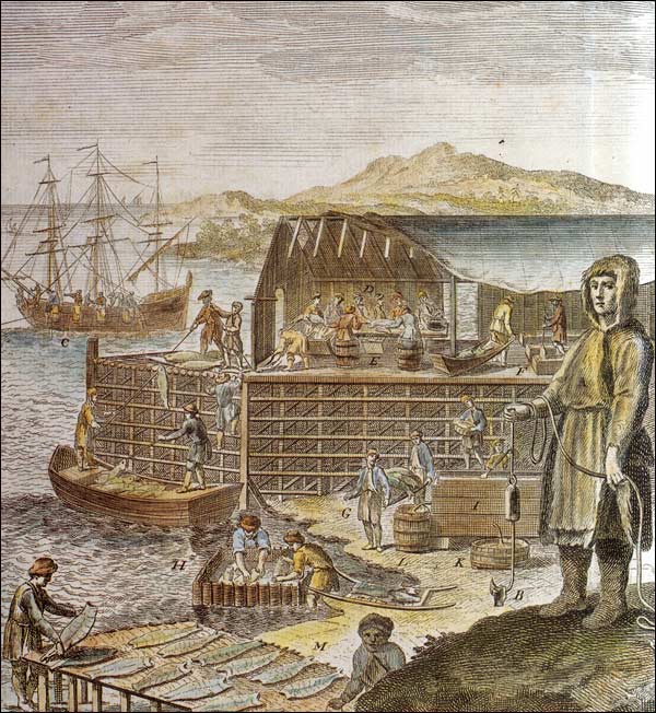 Chafaud utilisé pour la pêche migratoire à Terre-Neuve Chafaud utilisé pour la pêche migratoire à Terre-Neuve
