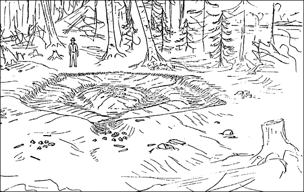 Fosse d'une habitation hexagonale au site d'Indian Point, lac Red Indian, localité B5 Fosse d'une habitation hexagonale au site d'Indian Point, lac Red Indian, localité B5