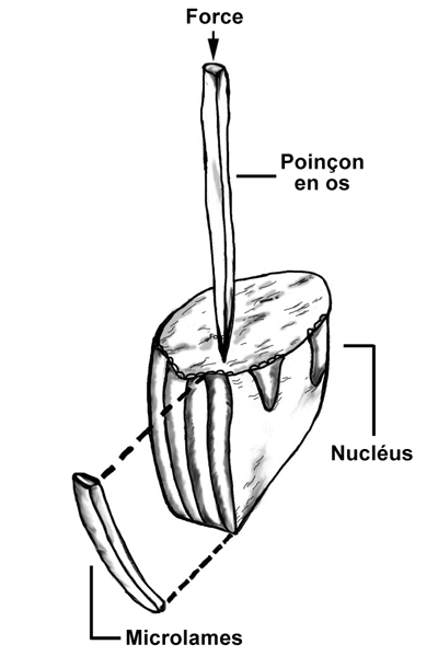 Nucléus à microlames