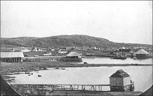 Conche, 1859