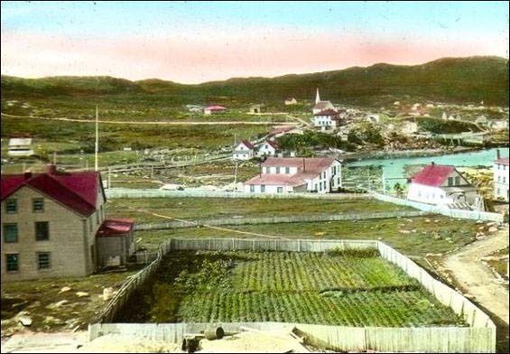 Potager à St. Anthony, vers 1920 Potager à St. Anthony, vers 1920