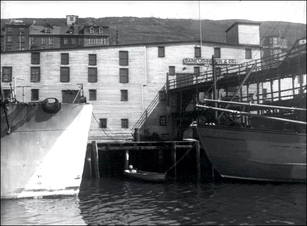Baine Johnston & Co., St. John's, s.d. Baine Johnston & Co., St. John's, s.d.