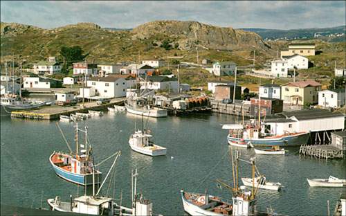 Port de Grave, baie de la Conception, T.-N.-L., vers 1994 Port de Grave, baie de la Conception, T.-N.-L., vers 1994