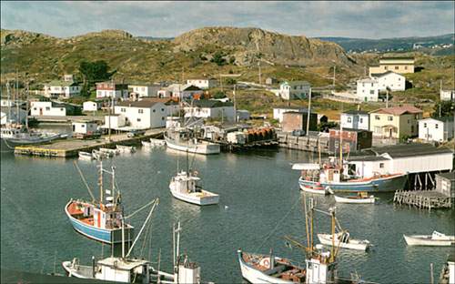 Port de Grave, baie de la Conception, T.-N.-L., vers 1994