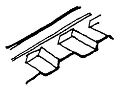 DENTICULE (masc.)