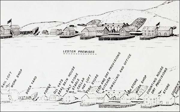 Les installations de la société Lester à Trinity, T.-N.-L., s.d. Les installations de la société Lester à Trinity, T.-N.-L., s.d.