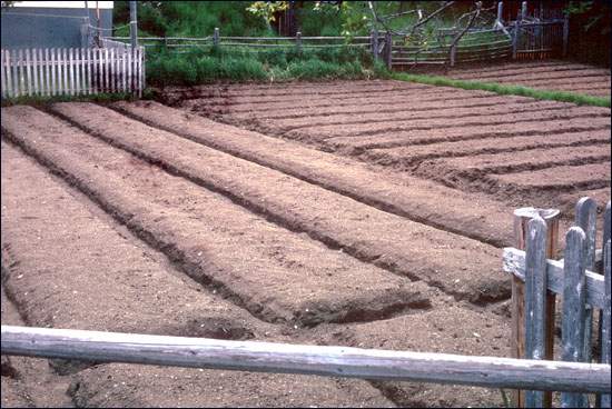 Potager de pommes de terre, prêt à être ensemencé, s.d.