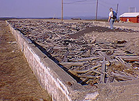 Site des ruines de la station Pinetree Site des ruines de la station Pinetree