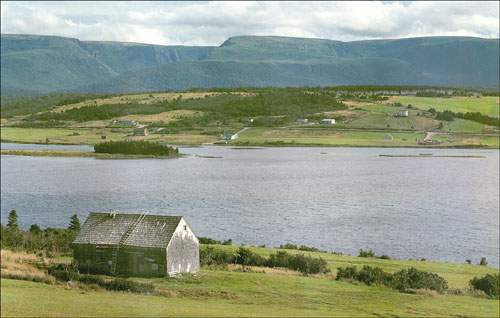 La vallée de Codroy, vers 1994