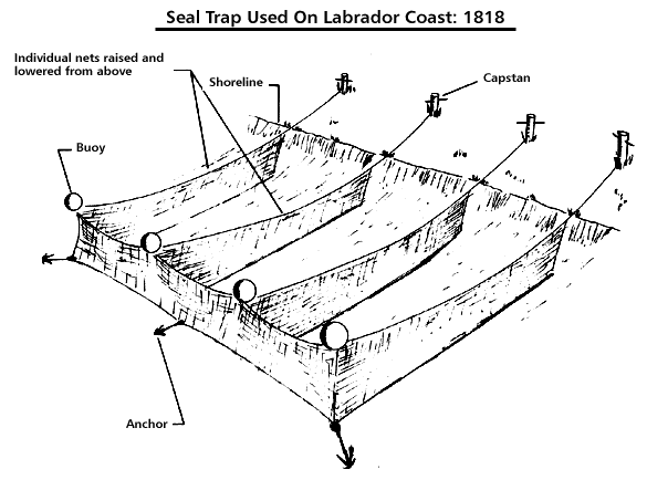 Labrador Coast Seal Trap, 1818 Labrador Coast Seal Trap, 1818